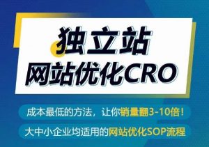 独立站网站优化CRO，成本最低的方法，让你销量翻3-10倍-KJ分享