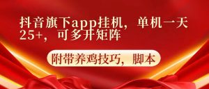 抖音旗下app自动挂机，单机一天收益25+，可多开矩阵-KJ分享
