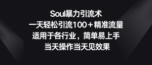 Soul暴力引流术，一天轻松引流100＋精准流量，适用于各行业，简单易上手！-KJ分享