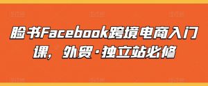 脸书Facebook跨境电商入门课,外贸·独立站必修-KJ分享