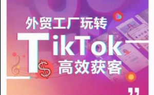 外贸工厂玩转TikTok高效获客，多种引流方式与账号定位技巧，拆解爆款短视频打造成功案例-KJ分享