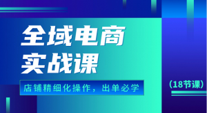 全域电商实战课，个人店铺精细化操作流程，出单必学内容（18节课）-KJ分享