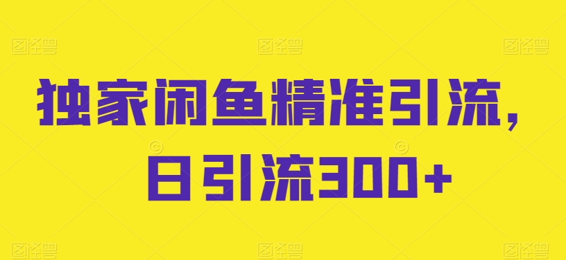 独家闲鱼精准引流，日引流300+-KJ分享