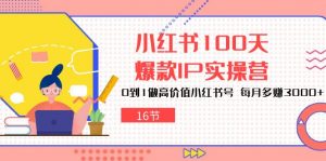小红书100天-爆款IP实操营，0到1做高价值小红书号 每月多赚3000+（16节）-KJ分享