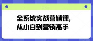 全系统实战营销课，从小白到营销高手-KJ分享
