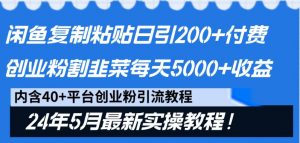 闲鱼复制粘贴日引200+付费创业粉，24年5月最新方法！割韭菜日稳定5000+收益-KJ分享