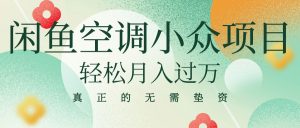 闲鱼卖空调小众项目 轻松月入过万 真正的无需垫资金-KJ分享