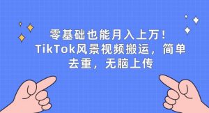 零基础也能月入上w，TikTok风景视频搬运，简单去重，无脑上传-KJ分享
