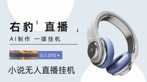 右豹小说无人直播挂机吸金项目，简单易行收益稳定， 月入1000+-KJ分享