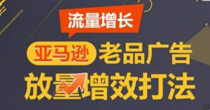 亚马逊流量增长-老品广告放量增效打法，循序渐进，打造更多TOP listing​-KJ分享