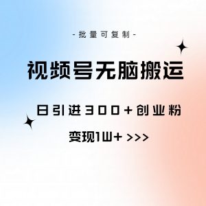 视频号无脑搬运日引300+创业粉，变现1W+可批量复制-KJ分享