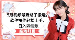 5月视频号野路子搬运，软件操作轻松上手，日入三位数-KJ分享