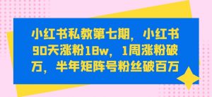 小红书私教第七期，小红书90天涨粉18w，1周涨粉破万，半年矩阵号粉丝破百万-KJ分享