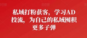私域打粉获客，学习AD投流，为自己的私域囤积更多子弹-KJ分享