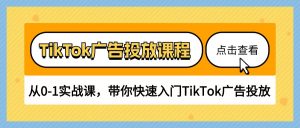 TikTok广告投放课程，从0-1实战课，带你快速入门TikTok广告投放（30节课）-KJ分享