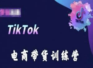 TikTok电商带货训练营，跟随时代潮流，跨境掘金-KJ分享