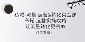 私域流量运营&转化实操课：私域运营实操攻略，让流量转化更高效-KJ分享