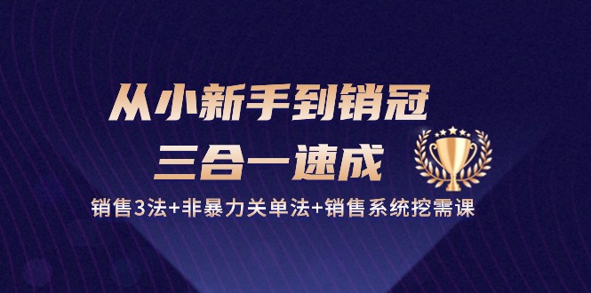 从小新手到销冠三合一速成:销售3法+非暴力关单法+销售系统挖需课 (27节)-KJ分享