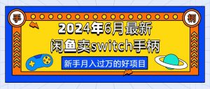2024年6月最新闲鱼卖switch游戏手柄，新手月入过万的第一个好项目-KJ分享