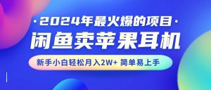 2024年最火爆的项目,闲鱼卖苹果耳机,新手小白轻松月入2W+简单易上手-KJ分享