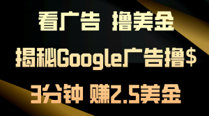 看广告，撸美金！3分钟赚2.5美金！日入200美金不是梦！揭秘Google广告…-KJ分享