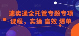 速卖通全托管专题专项课程,实操 高效 爆单-KJ分享