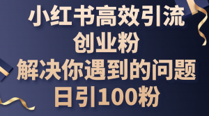 小红书高效引流创业粉，解决你遇到的问题，日引100粉-KJ分享