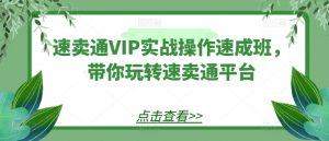速卖通VIP实战操作速成班，带你玩转速卖通平台-KJ分享