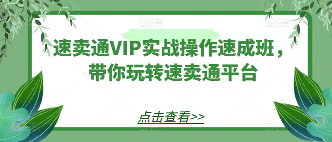 速卖通VIP实战操作速成班,带你玩转速卖通平台-KJ分享