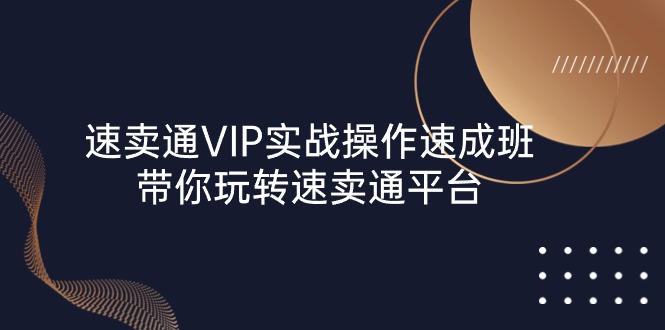 速卖通 VIP实战操作-速成班，带你玩转速卖通平台（23节）-KJ分享