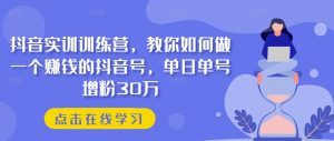 抖音实训训练营,教你如何做一个赚钱的抖音号,单日单号增粉30万-KJ分享