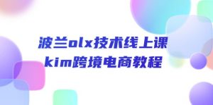 波兰olx 技术线上课,kim跨境电商教程-KJ分享