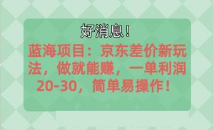 越早知道越能赚到钱的蓝海项目：京东大平台操作，一单利润20-30，简单…-KJ分享