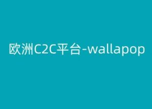 欧洲C2C平台-wallapop-kim跨境电商教程-KJ分享