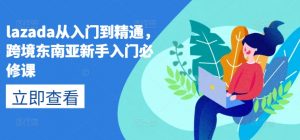 lazada从入门到精通，跨境东南亚新手入门必修课-KJ分享