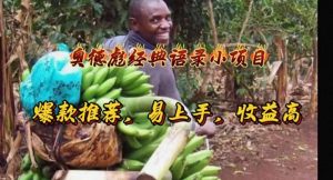 奥德彪经典语录小项目，爆款推荐，易上手，收益高-KJ分享