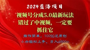 2024蓝海项目，视频号分成计划5.0最新玩法，错过了中视频，一定要抓住…-KJ分享