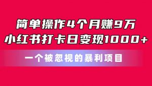 简单操作4个月赚9万!小红书打卡日变现1000+!一个被忽视的暴力项目-KJ分享