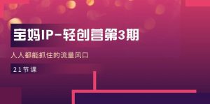 宝妈IP轻创营第3期，人人都能抓住的流量风口（21节课）-KJ分享