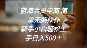蓝海会员电商 简单无脑操作 新手小白轻松上手日入500＋-KJ分享