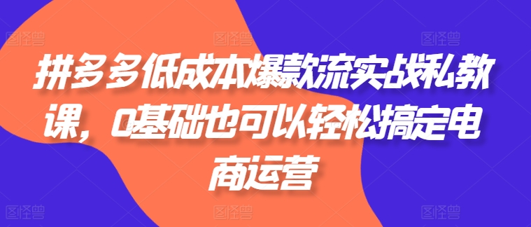 拼多多低成本爆款流实战私教课，0基础也可以轻松搞定电商运营-KJ分享