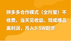 最新拼多多模式日入4K+两天销量过百单，无学费、老运营代操作、小白福利-KJ分享