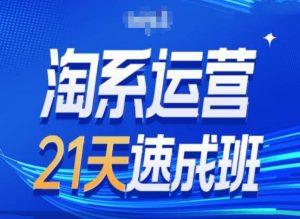 淘系运营24天速成班第28期最新万相台无界带免费流量-KJ分享