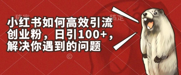 小红书如何高效引流创业粉，日引100+，解决你遇到的问题-KJ分享