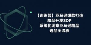 亚马逊爆款打造之精品开发SOP【训练营】，系统化洞察亚马逊精品选品全流程-KJ分享