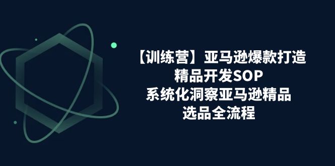 亚马逊爆款打造之精品开发SOP【训练营】，系统化洞察亚马逊精品选品全流程-KJ分享