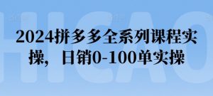 2024拼多多全系列课程实操，日销0-100单实操【必看】-KJ分享