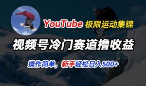 视频号冷门赛道撸收益，YouTube搬运极限运动集锦，暴力起号，操作简单流量高，轻松日入5张-KJ分享
