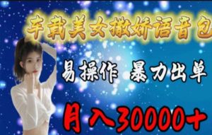 车载美女撒娇语音包,执行就出单,月入3000+,小白看完课程就能马上实操-KJ分享