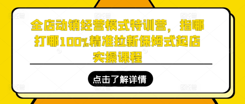 全店动销经营模式特训营，指哪打哪100%精准拉新保姆式起店实操课程-KJ分享
